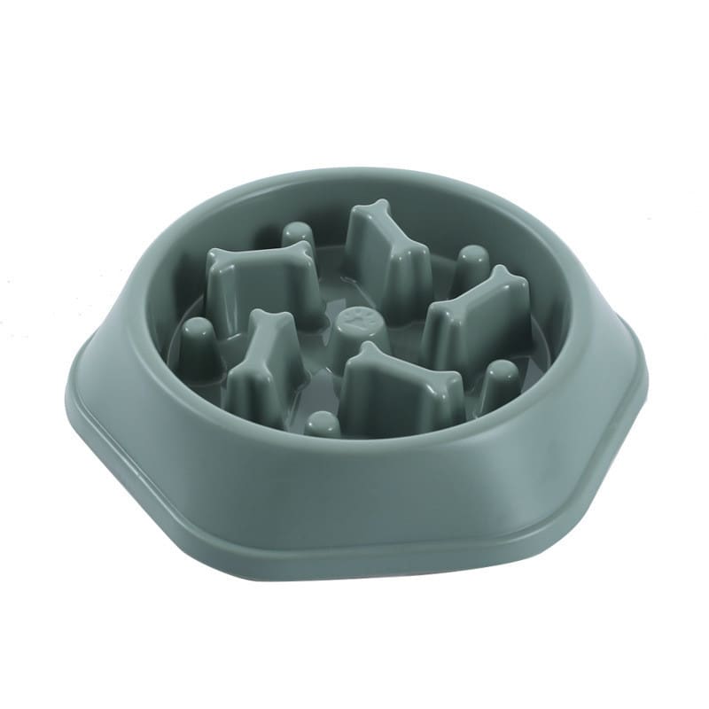 Green slow feeder bowl for dogs.