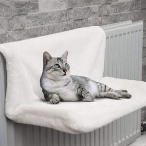 Cat laying on a white radiator cover.