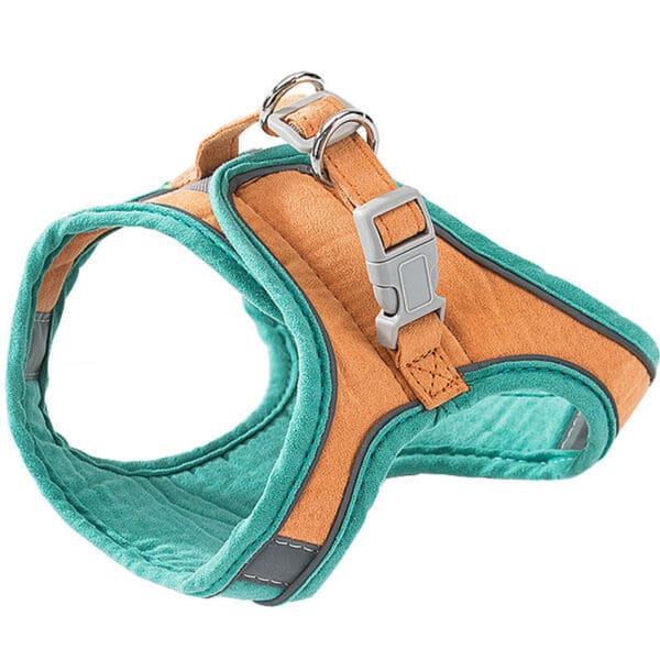 Teal and brown dog harness with buckle.