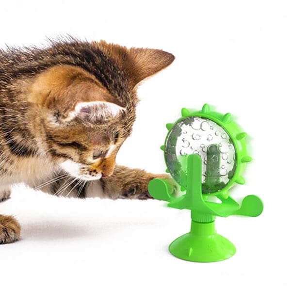 Cat playing with green spinning toy.