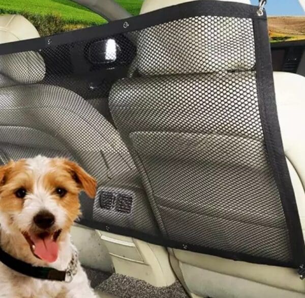 Black mesh dog barrier in a car.