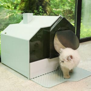 White cat using a covered litter box.