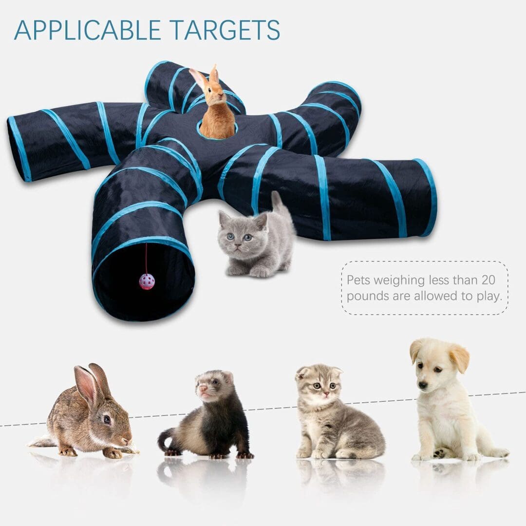 Black and blue pet tunnel with cat and rabbit.