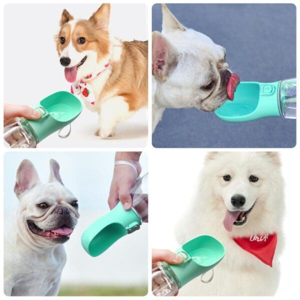 Dogs drinking from portable water bottle.