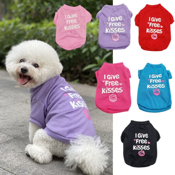 White dog wearing purple "I Give Free Kisses" shirt.