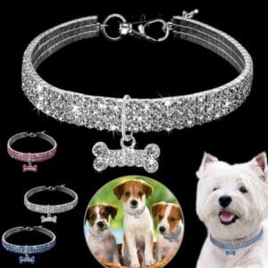 Diamond dog collar with bone charm