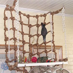 Parrot climbing on rope net toy.