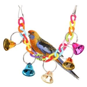 Colorful bird toy with bells and a parrot.