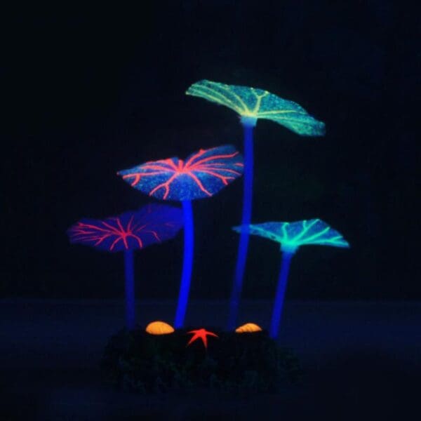 Glow in the dark aquarium plants.