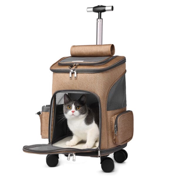 Brown rolling pet carrier with cat inside.