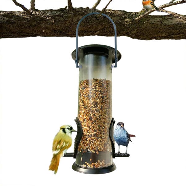 Bird feeder with birds and seeds.