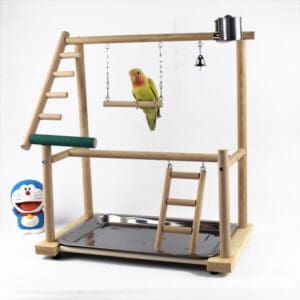 Wooden bird play gym with a parrot.