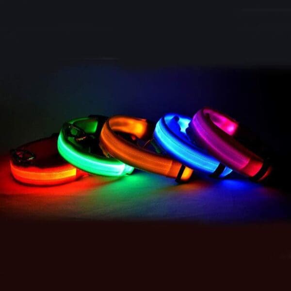 Four colorful LED dog collars.