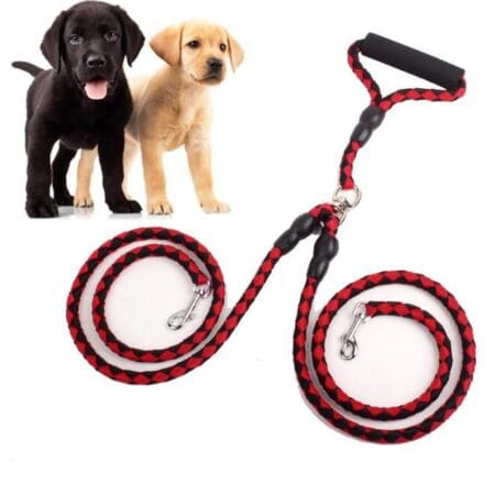 Red and black double dog leash.