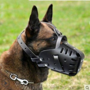 Brown and black dog wearing a leather muzzle.