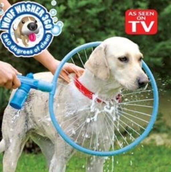 Dog getting a bath with a water sprayer.