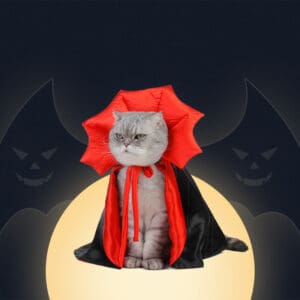 Cat dressed as a vampire for Halloween.