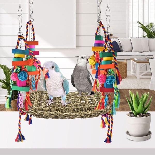 Two parrots on a colorful hanging bird toy.