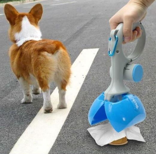 Dog poop scooper with a dog in the background.