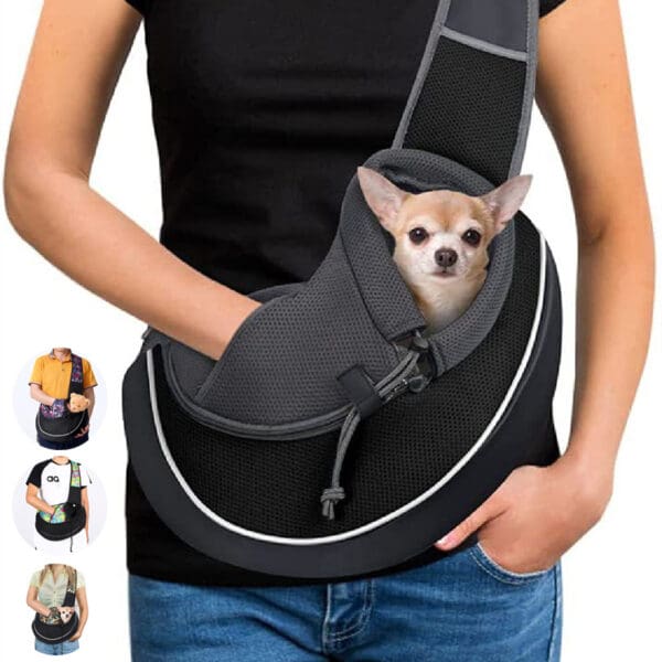 Person carrying a chihuahua in a black carrier.