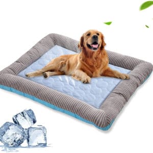 Cooling dog bed with a golden retriever.