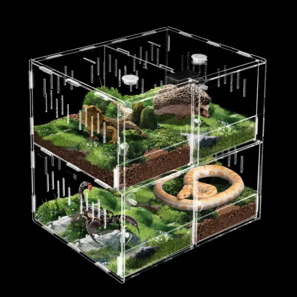 Multi-level terrarium with snake, lizard, scorpion, and hedgehog.