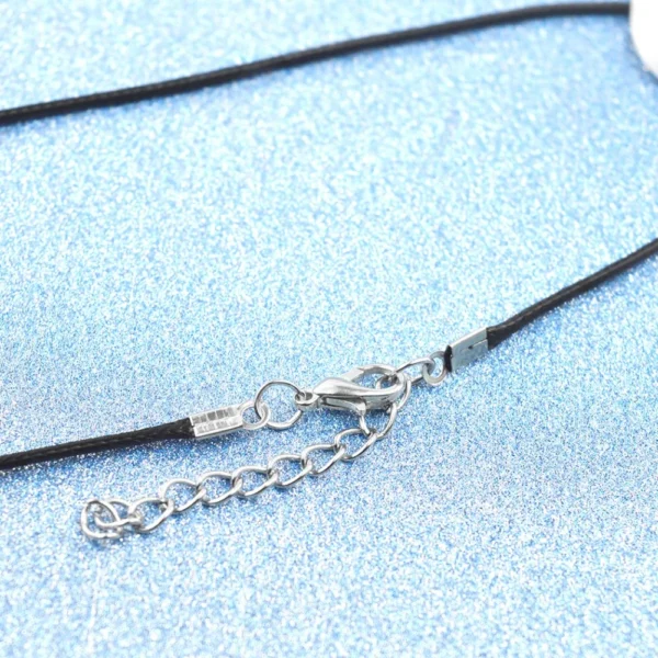 Black cord necklace with silver clasp.