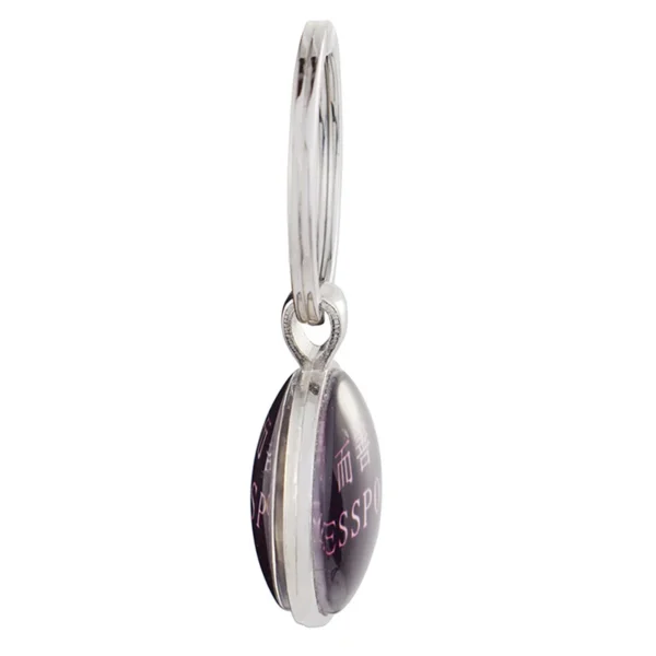 Silver keychain with purple passport charm.