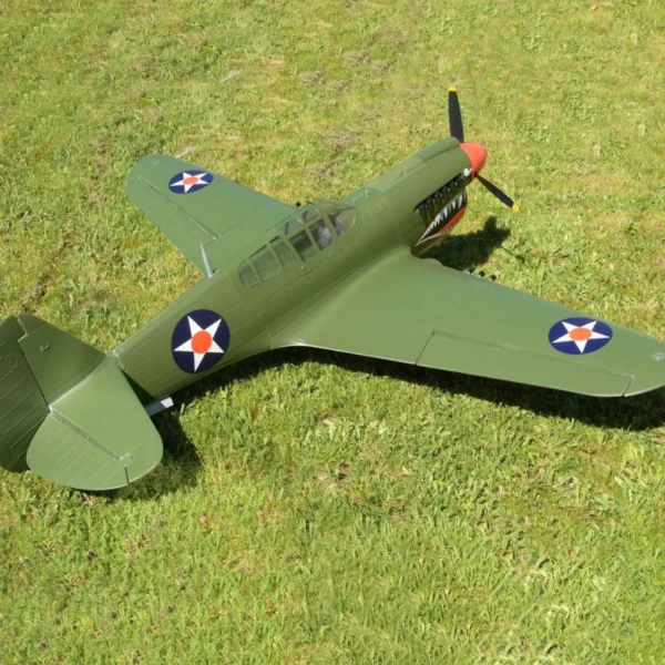 Green P-40 Warhawk model plane on grass.