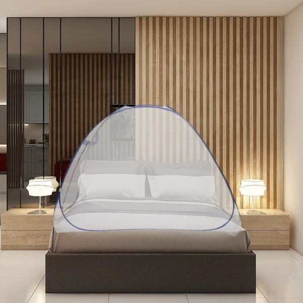 Bed with mosquito net in a bedroom.