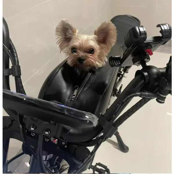 Small dog riding a motorcycle.