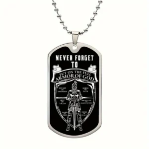 Silver chain with black armor of god tag.